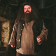 A classic Hagrid-adjacent character is coming to life.